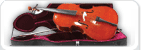 Všechna violoncella