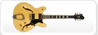 Kytary Hagstrom